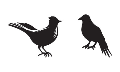 Obraz premium silhouette of a bird