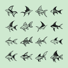 Swordtail, aquarium fish line art illustration