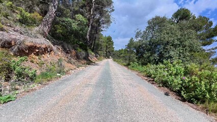 A Beautiful and Scenic Gravel Road that is Surrounded by Lush and Vibrant Greenery