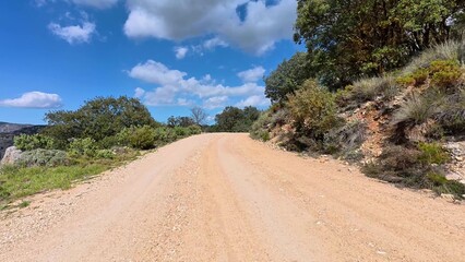 A Beautiful, Scenic Dirt Road, Encircled by Lush Greenery Under Bright Blue Skies Above