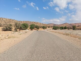 Panoramic view of a road through the Argan forest in Morocco. In the background, there is a clear blue sky and the Anti-Atlas Mountains covered with Argan trees.