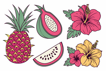 Tropical fruits and hibiscus flowers illustration