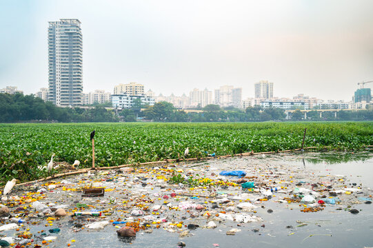 Pawai Lake and skyline of Mumbai with Institute of Technology Bombay, India, environment and plastic waste