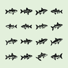 White Cloud Mountain Minnow, aquarium fish vector art illustration