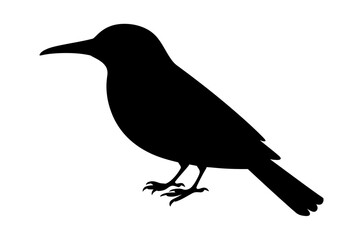 Silhouette of a bird perched on a branch vector