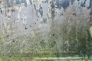 rough grunge texture on old concrete cement wall weathered covered with moss empty copy space