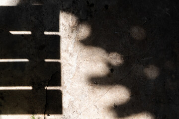 shadow of wood bench plank and tree foliage leafs on sunny outdoor concrete floor