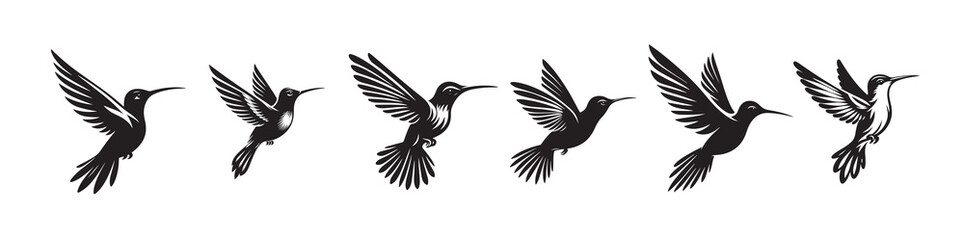hummingbird silhouette vector illustration