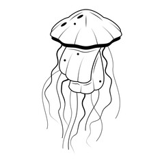 Abstract Black Simple Line Jellyfish Doodle Outline Element Vector Design Style Sketch Isolated On White Background Illustration Nature Ocean WIldlife