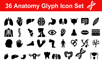 Anatomy glyph icon set. Vector pictograms of body organs, bone, skeleton, spine, eye, ear, nose, mouth, lips, hand, foot, stomach, kidneys, bladder, black sign silhouette illustration