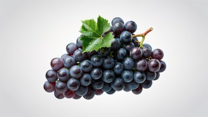 Fototapeta premium Fresh Purple Grapes with Dewdrops and Green Leaf Displayed