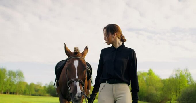 A stylish woman leads a horse by the bridle across the field. Close-up of a horse's muzzle