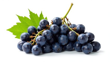 Fototapeta premium Fresh Purple Grapes with Dewdrops and Green Leaf Displayed
