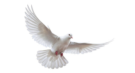 Fototapeta premium White dove soaring upward against a pristine white background, creating a sense of freedom and tranquility