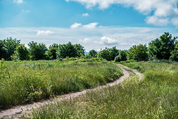 Country road in fields, selective focus on grass in foreground, bright midday sky, copy space for nature and ecology concept, space for advertising natural products