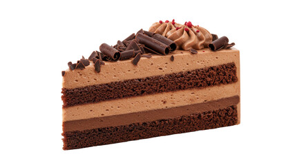 Isolated Chocolate Cake Slice
