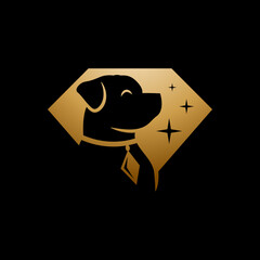 Pet jewelry