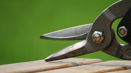 Gardening tools used for pruning plants in a lush garden during bright daylight