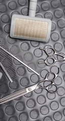 Flatlay of grooming slicker brush, steel combs and trimming scissors arranged on rubber textured...