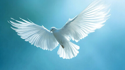 Delicate White Feathery Wings Spread Gracefully Against a Soft Blue Sky Background