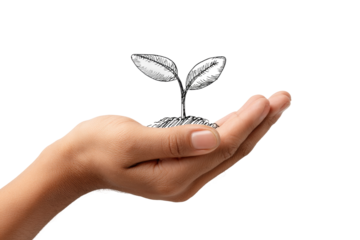 PNG Hand holding soil and plant sprout on black background
