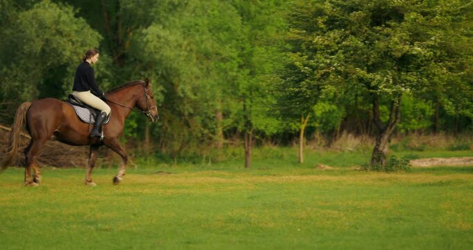 A horse and rider prance through a clearing along the forest. The woman looks at the camera