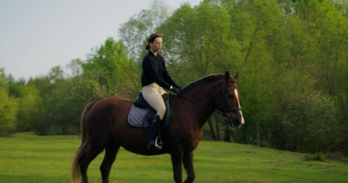 A horse and rider prance through a clearing along the fores