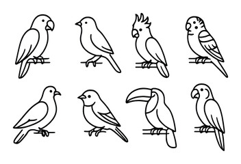 Fototapeta premium Bird set. aviary decoration silhouette birds. parrot, sparrow, cockatoo, toucan vector icons.