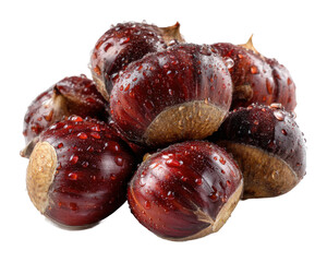 Harvesting fresh chestnuts autumn market food rustic delicacy isolated on transparent background