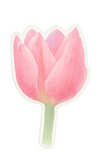 Pink Tulip &ndash; Watercolor Style AI Enhanced Floral Sticker with Transparent Background
