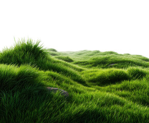 Lush green grass fields nature landscape vibrant environment serene viewpoint tranquility concept isolated on transparent background