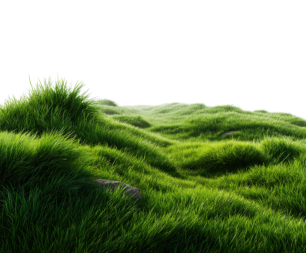 Lush green grass fields nature landscape vibrant environment serene viewpoint tranquility concept isolated on transparent background