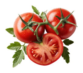 Fresh tomato harvest garden food natural culinary inspiration isolated on transparent background