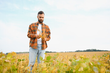 Farmer, agronomist in the soybean field. Controlling the growth of agricultural crops