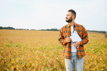 Farmer agronomist in soybean field checking crops before harvest. Organic food production and cultivation