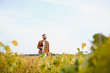 Farmer agronomist in soybean field checking crops before harvest. Organic food production and cultivation