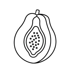 Papaya Fruit Outline Vector Icon Design Simple Clean Illustration on White Background for Food Tropical and Healthy Eating Concepts