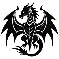 dragon fierce powerful wings black and white