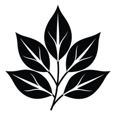 black and green leaves