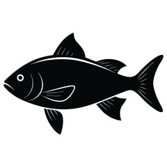 fish on a white background