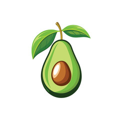 avocado fruit on white background
