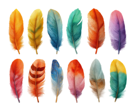 Colorful feather display artistic digital creative environment aerial perspective isolated on transparent background