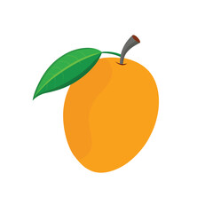 vector illustration of an Mango