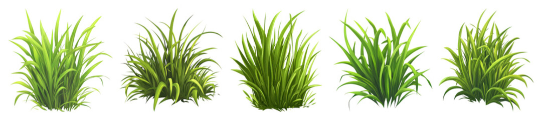Obraz premium PNG Lush green grass tufts aligned, element set on transparent background