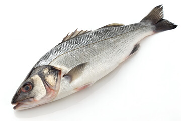 Obraz premium fresh fish on white background