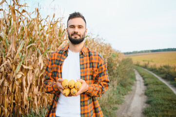 Fototapeta premium A young agronomist inspects the quality of the corn crop on agricultural land