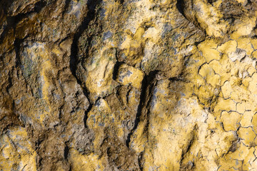 Cracked and dry mud texture showing signs of drying and cracking