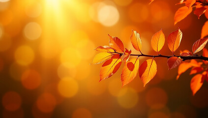 Autumn leaves on a branch with sunlight shining through in warm orange colors