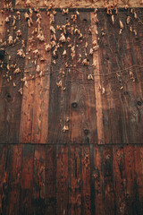 An old wooden vertical wall with a dark, rich brown tone with the top section of the wall