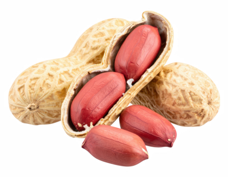Peanuts isolated on transparent background highlighting their nutritional value and popularity as a snack food and ingredient in many dishes, Transparent background PNG